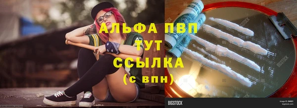 амф Корсаков