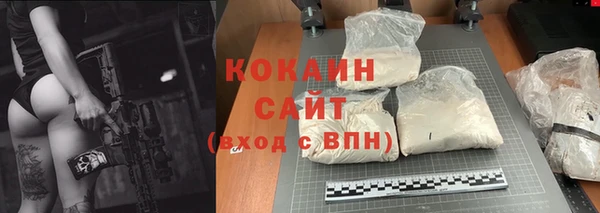 амф Корсаков