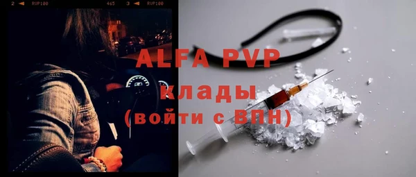 амф Корсаков