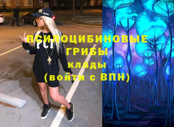 соль курить ск Коряжма