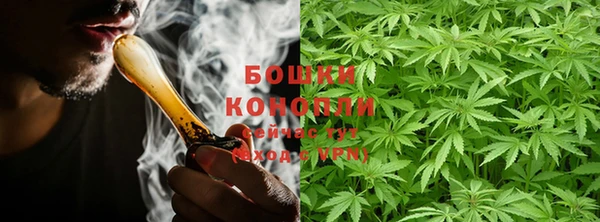 амф Корсаков