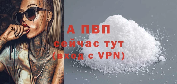 амф Корсаков